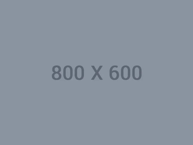 MK体育直播APP
