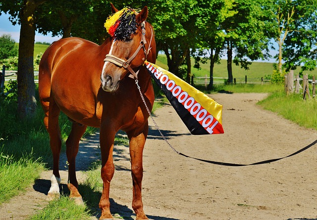 心球員或壓 心球員或壓