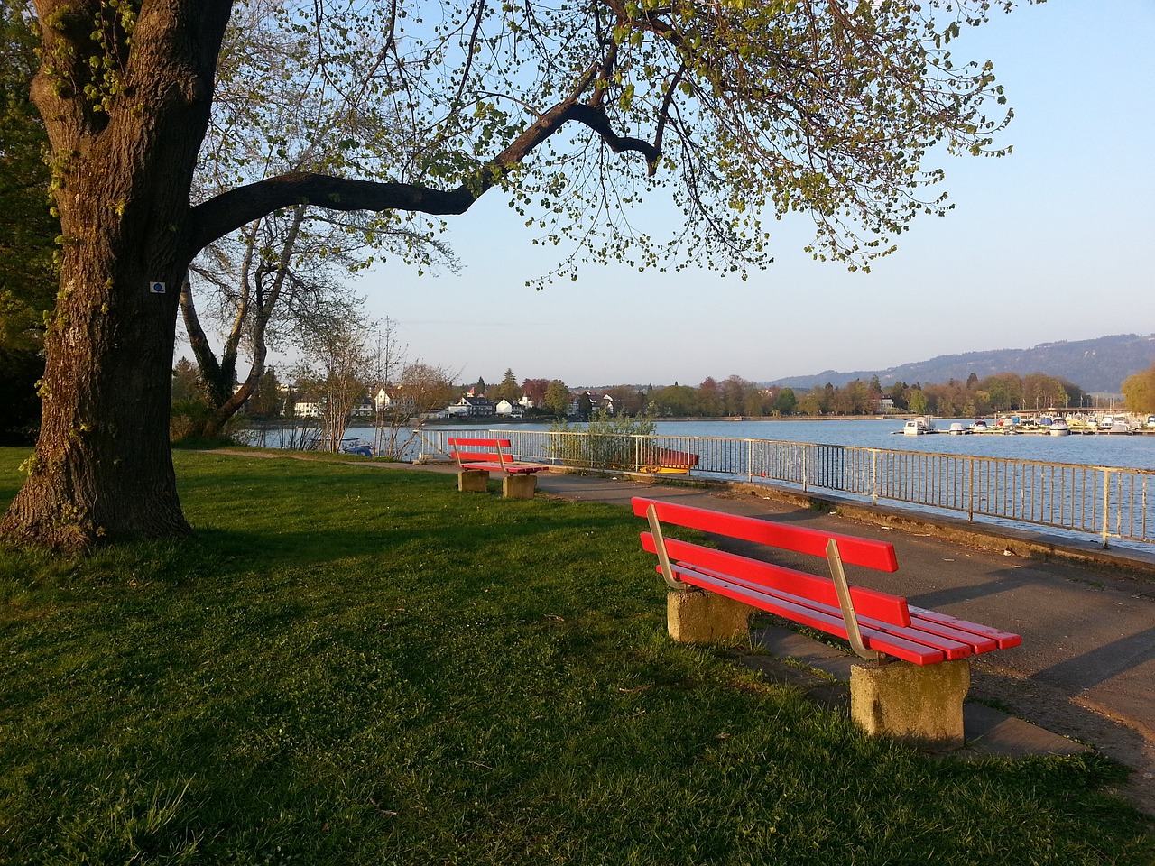 的适应和影 的适应和影