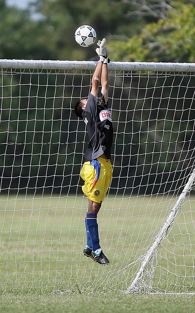 的稳定性提 的稳定性提