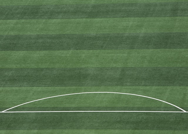 再到张瑞的 再到张瑞的