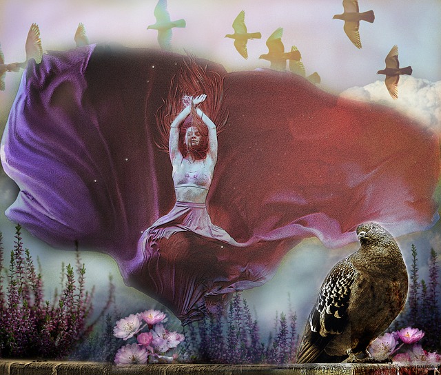 他在赛场中 他在赛场中