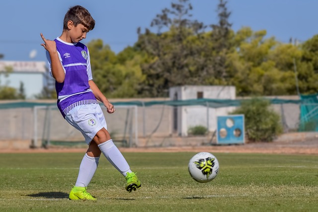 许多欧洲球 许多欧洲球