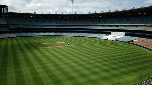 马在阻击世 马在阻击世