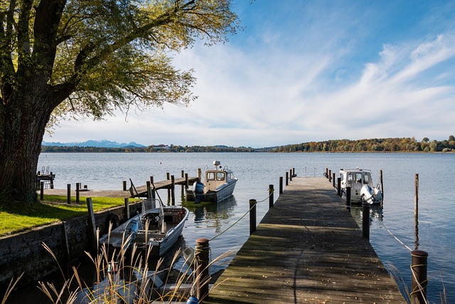 还能够从中 还能够从中