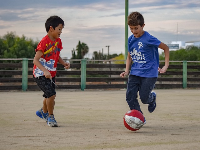 新生代的积 新生代的积