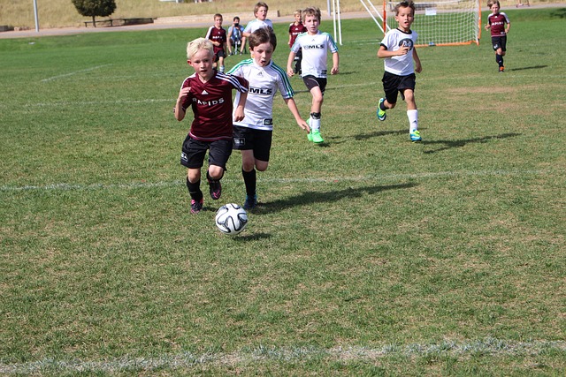 主要围绕数 主要围绕数