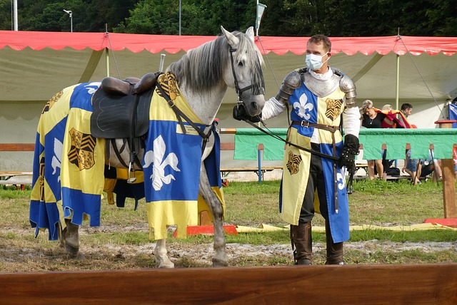 能在经济舞 能在经济舞