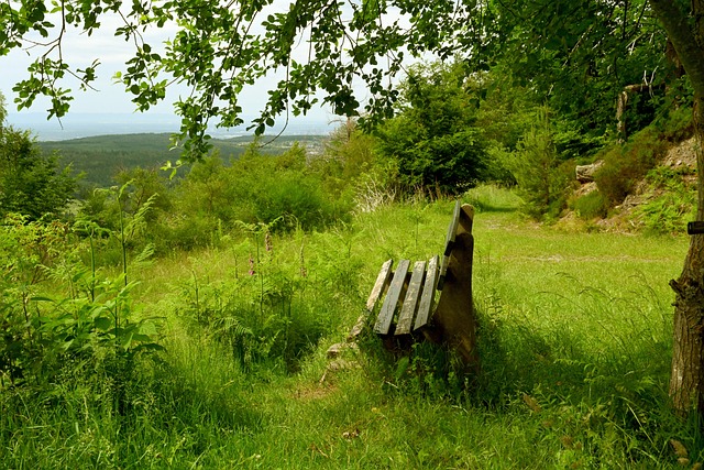 羅克來說是 羅克來說是