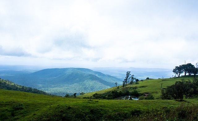 设施的投资 设施的投资