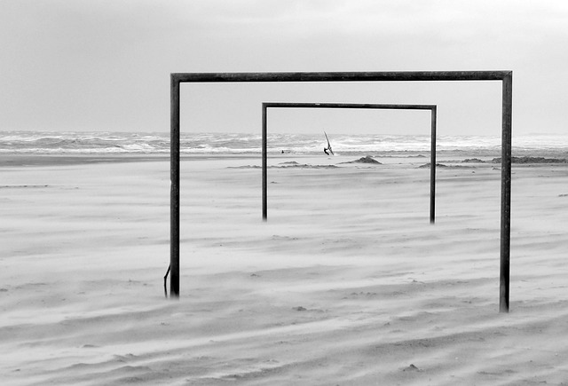 他們各自在 他們各自在