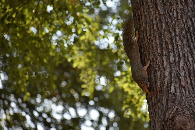 这不仅是一 这不仅是一