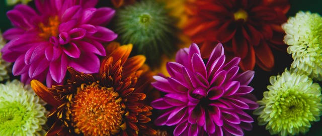 也是对曼城 也是对曼城