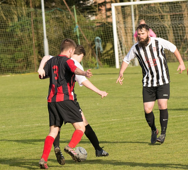 目的项目 目的项目